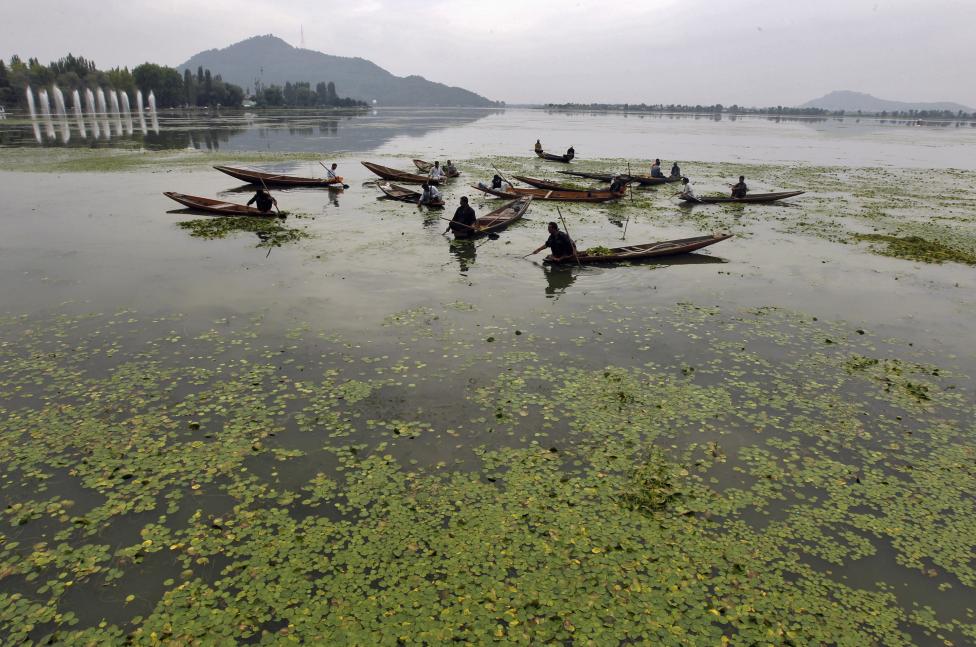 Dal Lake To Get A Clean Up: PM Inaugurates CEF's Waste-to-Manure Plant  