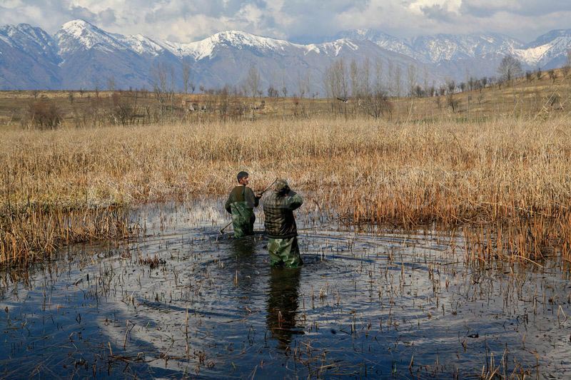 9 Kashmir Wetlands Fail To Meet Water Quality Standards