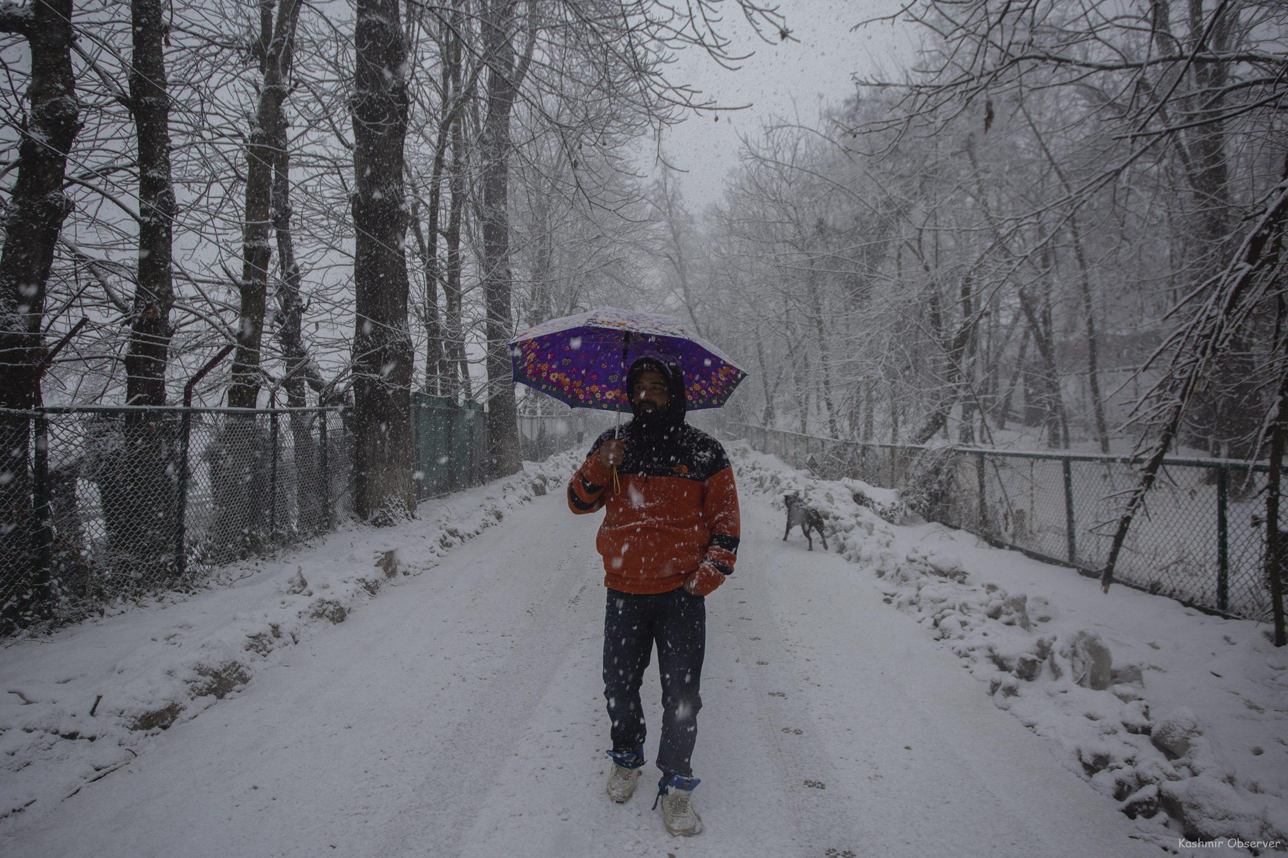 Fresh Snowfall Brings Respite From Severe Cold Spell In Kashmir ...