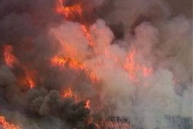 Fire Engulfs Forest Area In J&K's Udhampur