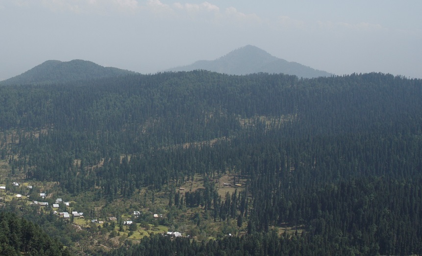 Amid unusual and prolonged dry spell in the Kashmir Valley, the Wildlife Department has banned unauthorized entry into the forests and Wildlife Protected Areas.