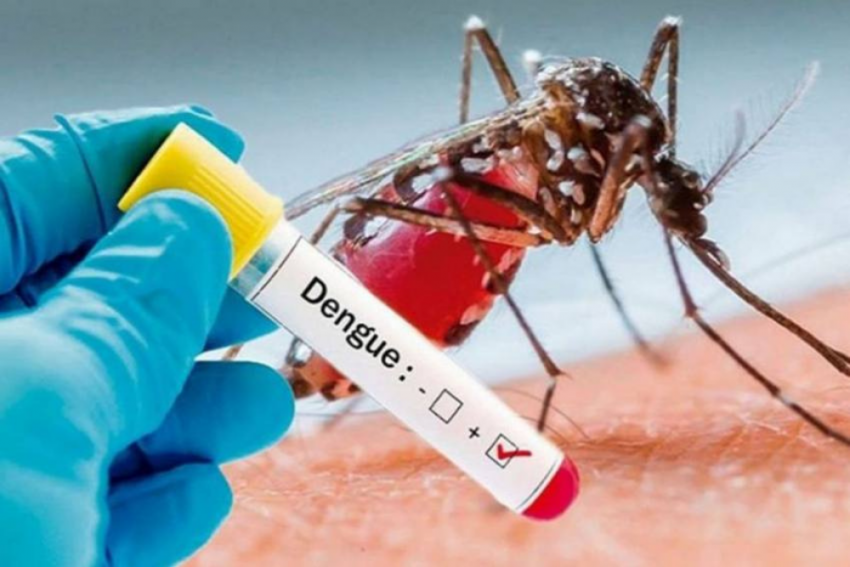Jammu Records Over 350 Cases Of Dengue, Doctors Say Nothing To Panic