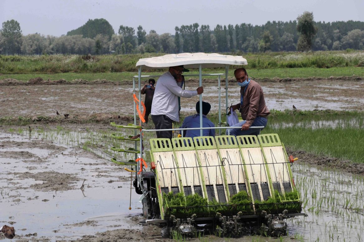 Agriculture A Driving Force Of Kashmir Economy Kashmir Observer