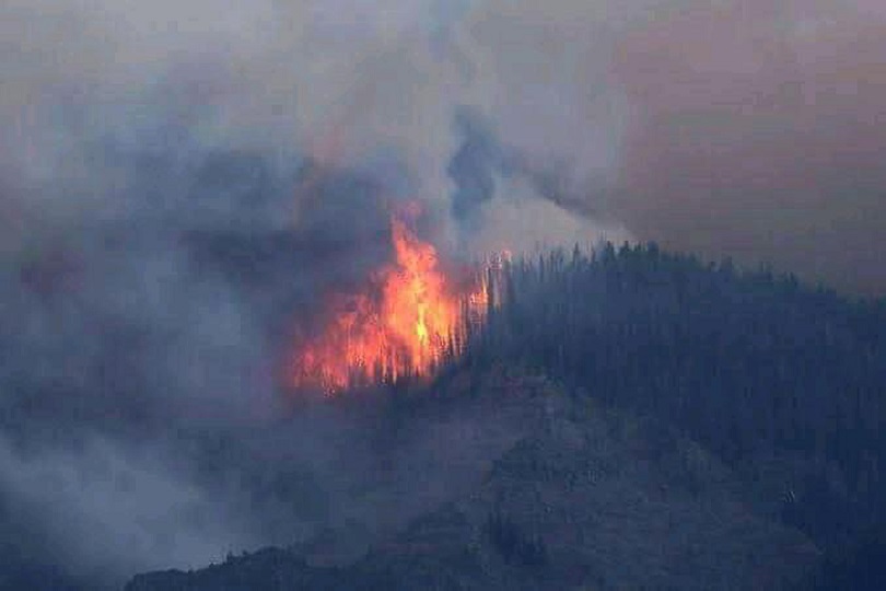 Forest Fire Erupts Along LoC In J&K's Poonch