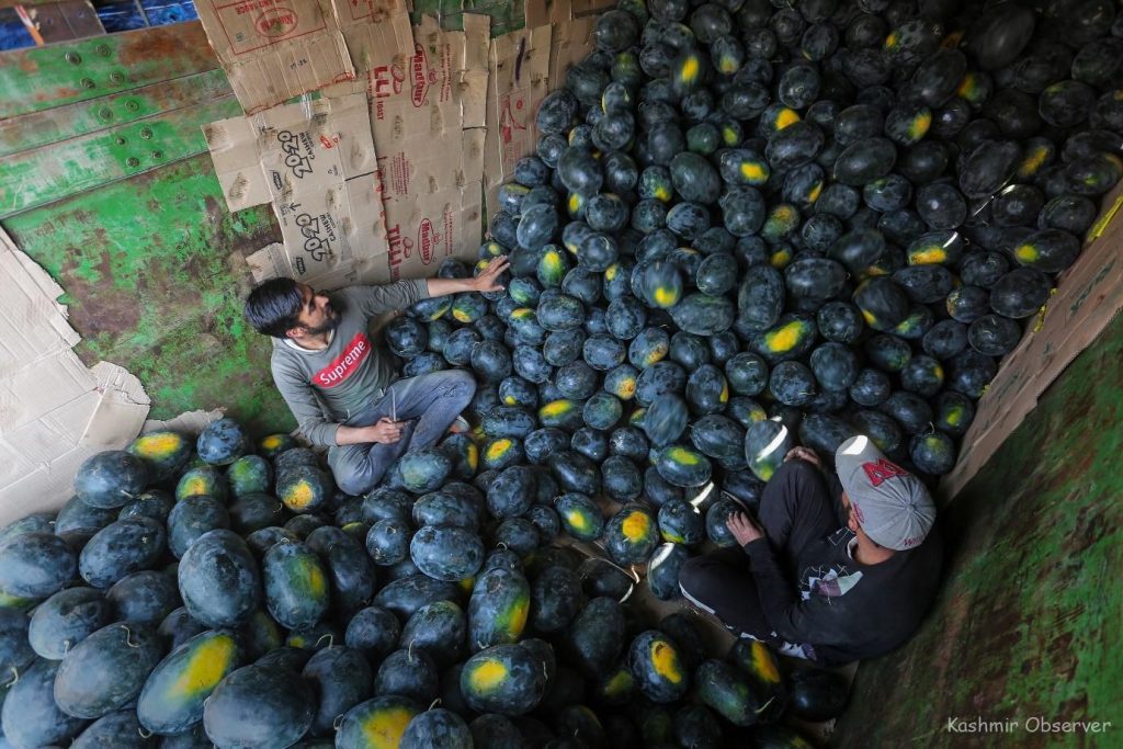 Kashmir Googled 'Watermelons' The Most Last Week  