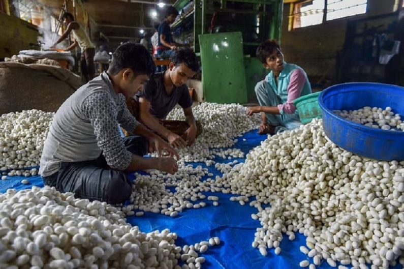 Why Is Kashmir’s Famed Silk Industry Suffering Slump In Business