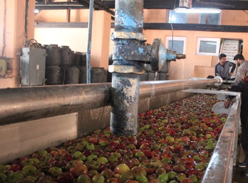 Govt Sets Ball Rolling For Outsourcing Apple Juice Plant Of JKHPMC