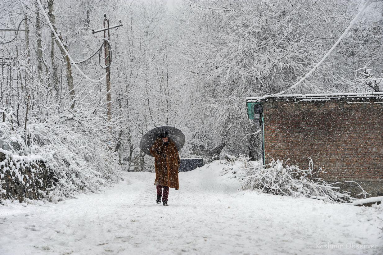 Again-to-back WDs To Give First Heavy Snowfall Of Season – Kashmir Observer