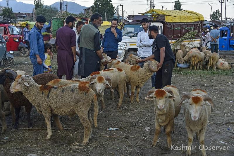 Ensure Reasonable Prices For Sacrificial Animals: Div Com Kashmir To Officers