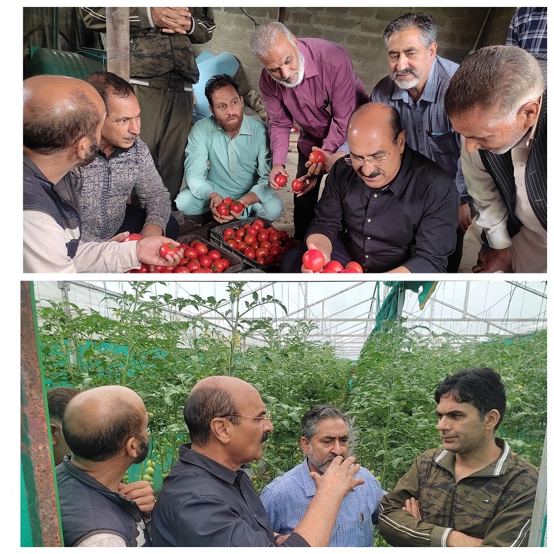 Agri Deptt To Promote Organic Vegetable Cultivation In Kashmir