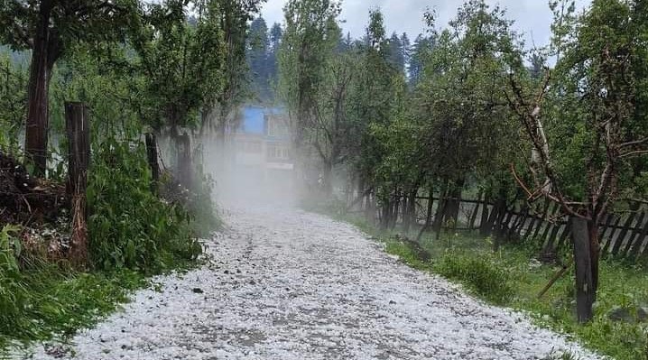 Hailstorm Causes Widespread Damage To Kashmir Orchards, Say Growers
