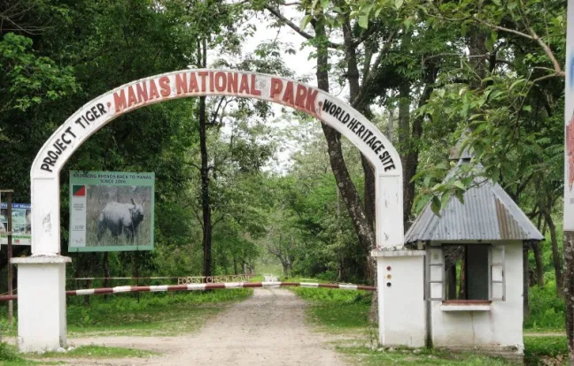 Manas National Park in Assam to Open From October 1
