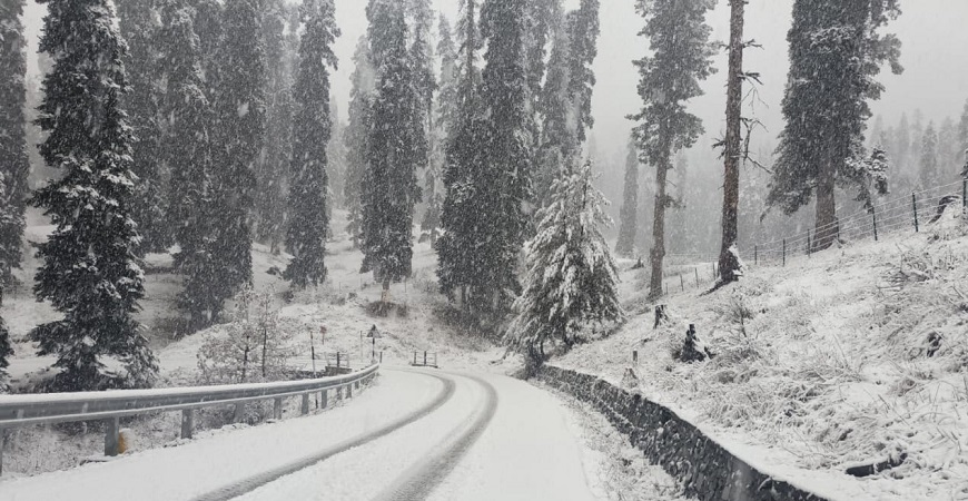 Fresh Snowfall In Higher Reaches Of Kashmir, Rains Lash Plains