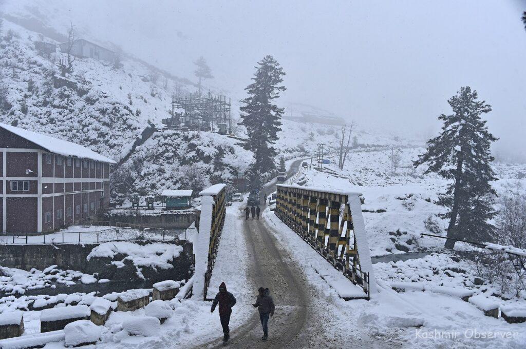 Kashmir Highlands Embrace Snow After Prolonged Wait