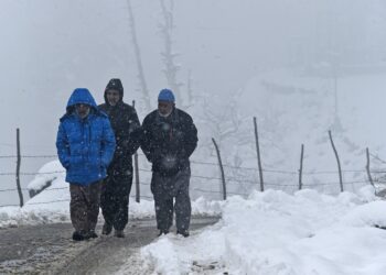 Fresh Snowfall In Parts Of Kashmir