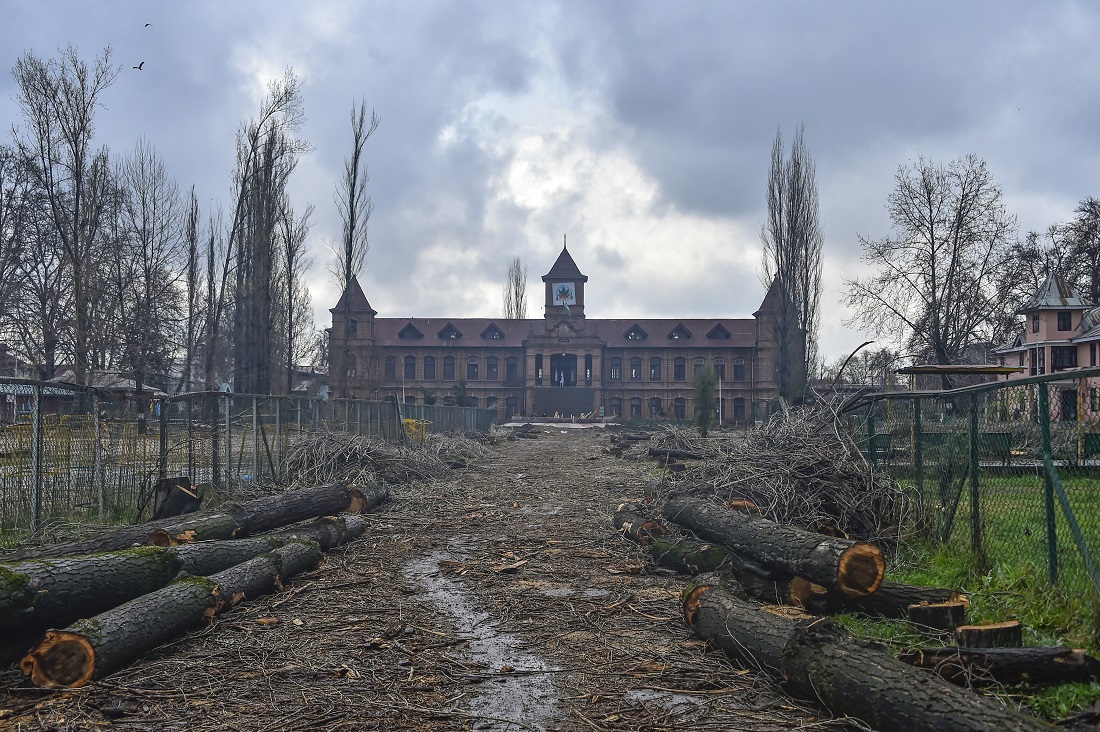 Amar Singh College Faces Backlash For Axing 234 Poplars   – Kashmir Observer