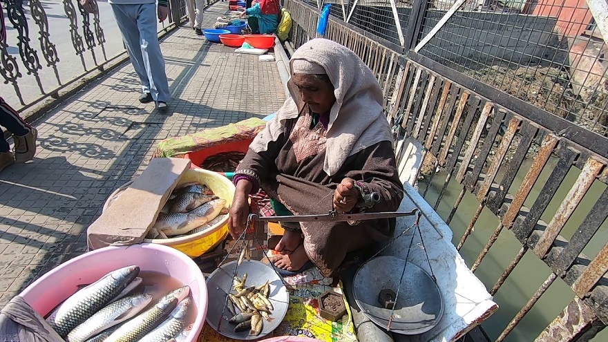 J&K Takes Lead In India's Growing Appetite For Fish, New Study Unveils  