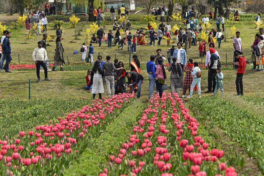 Asia's Largest Tulip Garden In Srinagar Thrown Open For Public