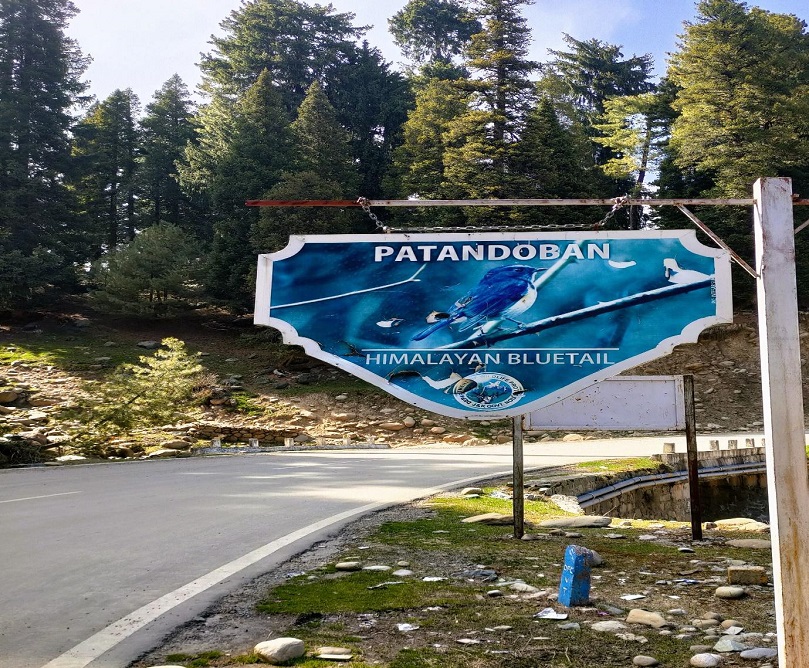 Exploring Patandoban: Kashmir's Premier Birdwatching Retreat in Hirpora Wildlife Sanctuary
