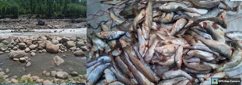 Illegal Riverbed Mining: The Harm Spreads to Fisheries Industry  