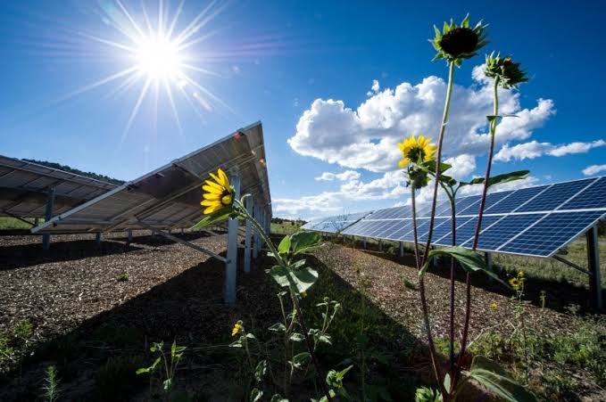 Renewable Energy – Powering a Safer Future