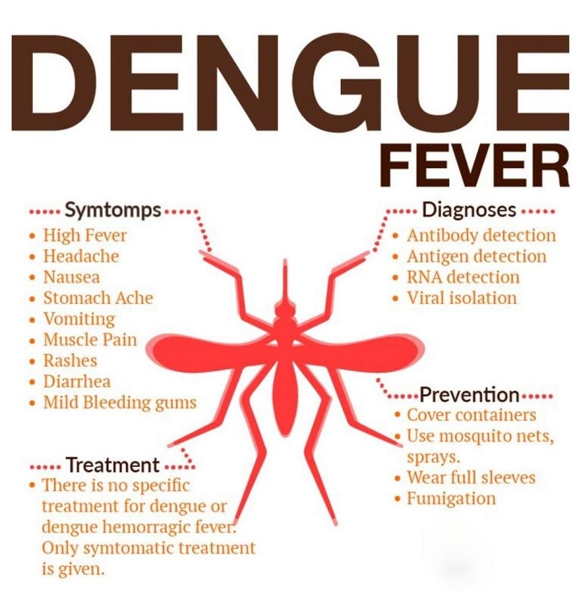 J&K Battles Dengue Surge: Cases Exceed 4,000   