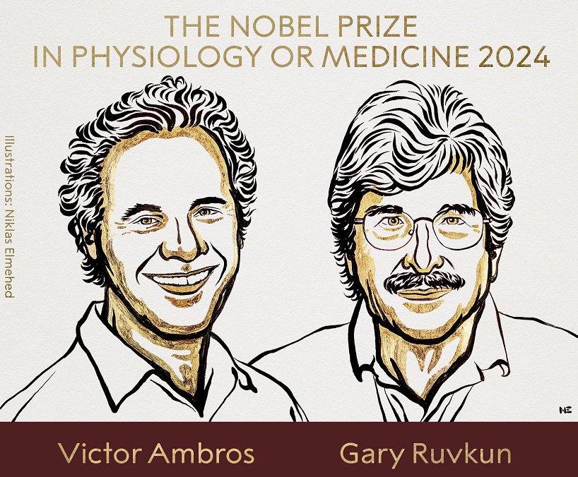 Nobel Prize In Medicine Honours American Duo For Discovery Of MicroRNA