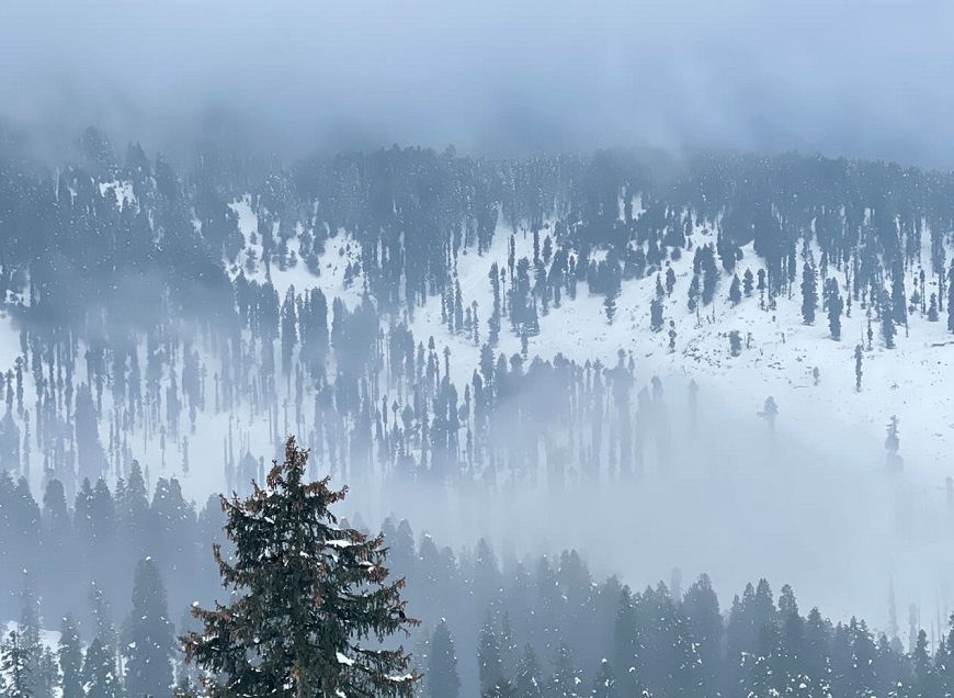 Fresh Snowfall In Higher Reaches Of Kashmir