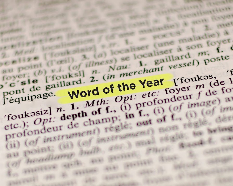 Not Just For Summer: 'Brat' Is Collins Dictionary's Word Of The Year