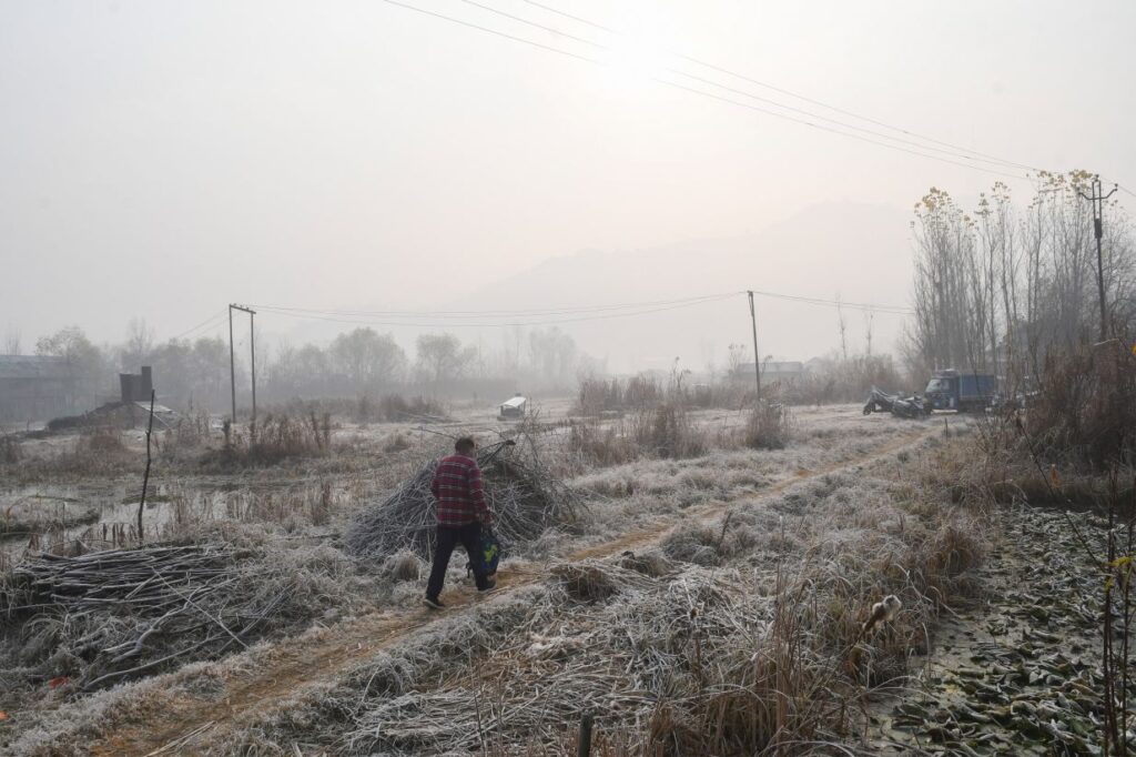 Night Chill Intensifies Across Kashmir, Srinagar Records Season's Coldest Night At -4.1°C