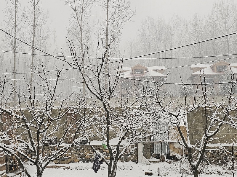 South Kashmir Receives Season's First Snowfall