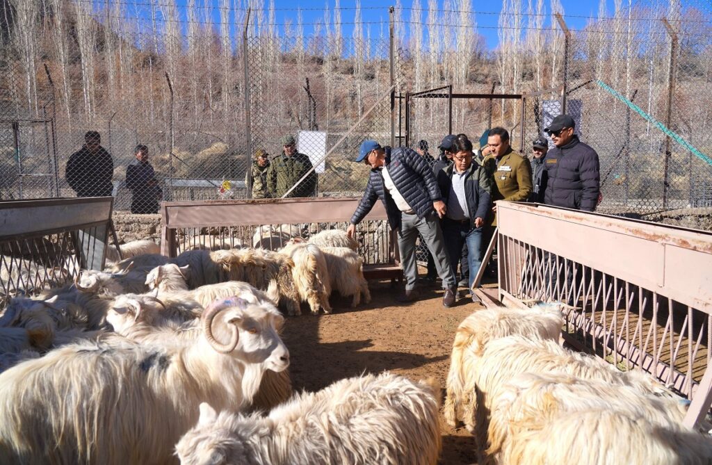 Ladakh Pashmina to Go Global, Says LG Gupta