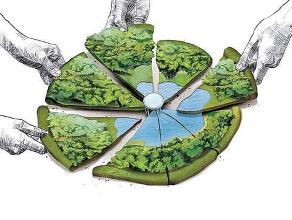 Brokers, Mafia, and Forged Documents: Kashmir’s Land Market Exposed