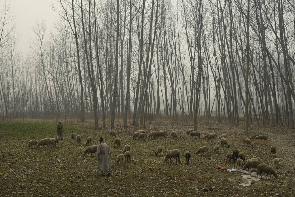 WDs Set To End Dry Spell In Kashmir