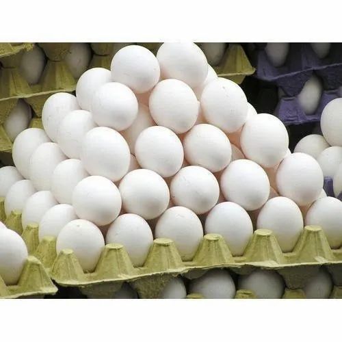 FSSAI Says Eggs Safe for Consumption, Rejects Cancer Risk Claims