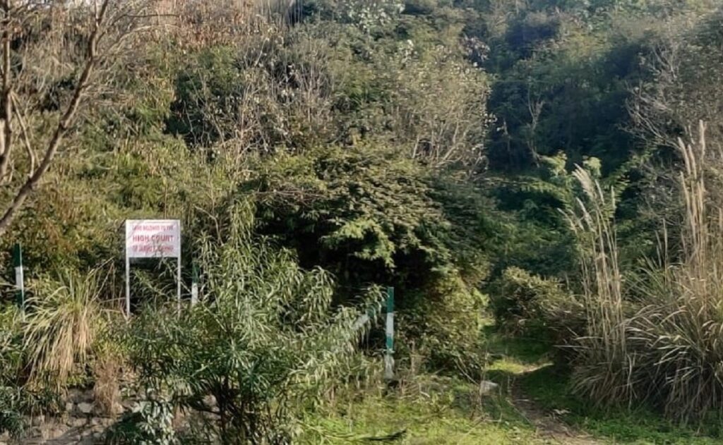 Why a Patch of Forest in J&K Has Become a Legal Flashpoint