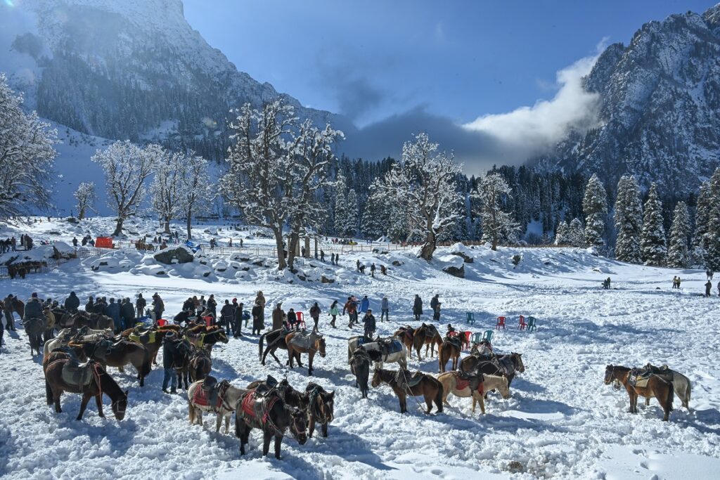 This Snowfall Has Pulled Kashmir Back From the Brink