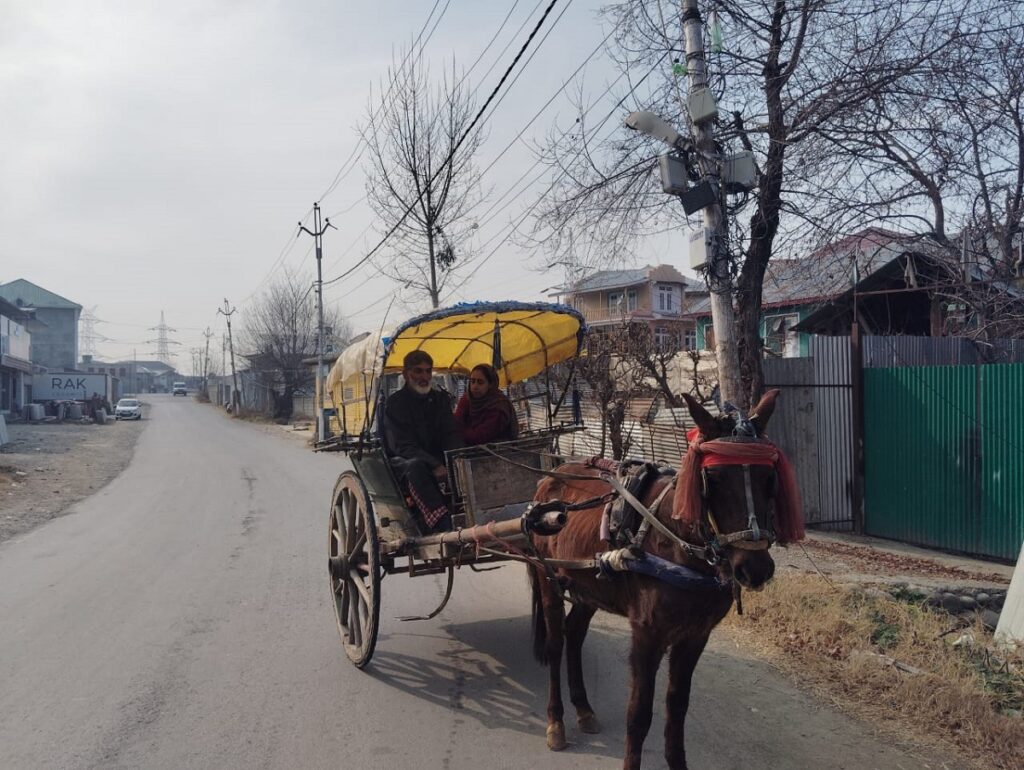 On Pulwama’s Roads, a Tonga Still Holds On